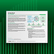 Cortex Cloud – Auf einen Blick