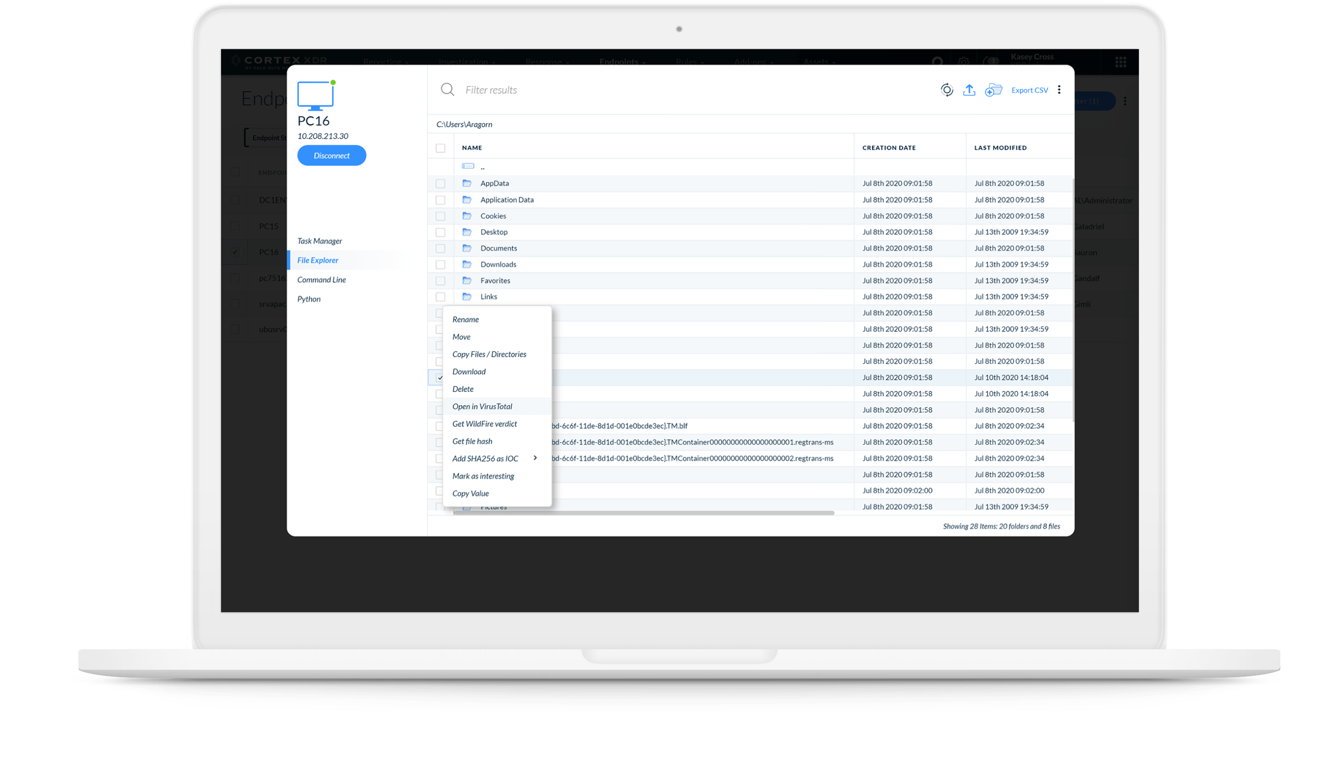 Live-Terminal erkennen