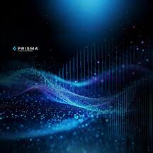 Detaillierte Anwendungsdemo Prisma AIRS